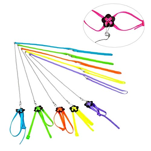 xiaocheng Duradera Loro de Tracción Correa Ajustable Correa Anti Bite Bird Bird Mascotas Entrenamiento de la Cuerda Color al Azar 3,9ft 1pc para tiernas Mascotas