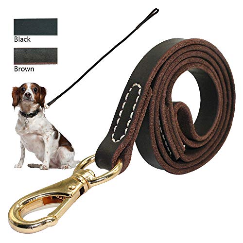 Yisatann Correa Perro Coche Cinturon 2 Colores De Cuero Real Perro De Trabajo Correas De Entrenamiento para Mascotas Gancho Dorado Negro Marrón Colores Negro 2.0Cm