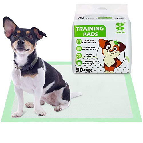 YORJA Empapadores Perros 50 unidades-60 x 60 cm Súper Absorbente Toallitas de Entrenamiento para Mascotas con Superficie de Malla Transpirable