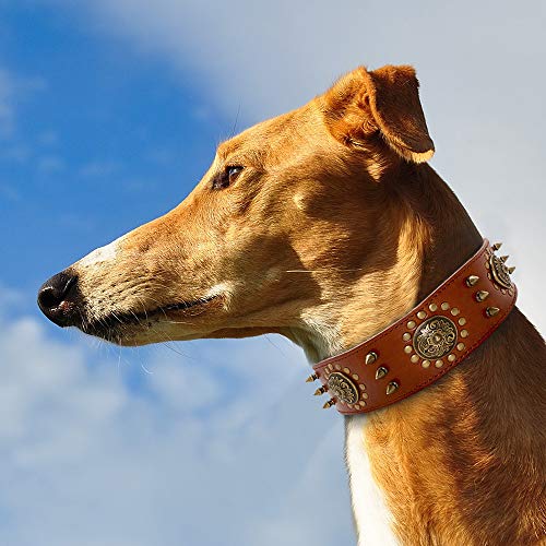 YXDZ Collar De Cuero Grande para Perros con Tachuelas De Pitbull para Perros Grandes De Tamaño Mediano Cuero Genuino Durable para Mascotas De Color Marrón