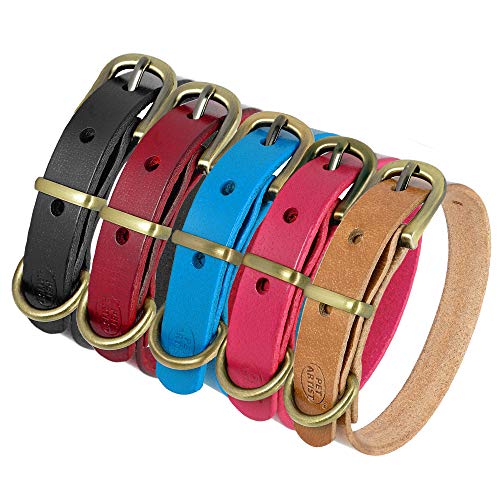 YXDZ Collar De Perro De Cuero Liso para Perros Pequeños Medianos Collar De Perro Ajustable para Cachorro De Mascota para Chihuahua Yorkie Pug Poodle Bulldog Francés