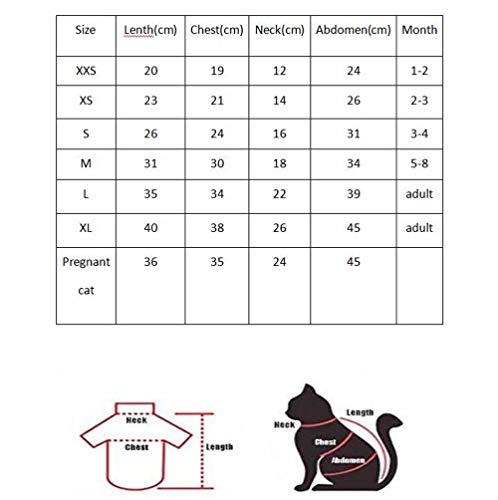 ZHIHAN Esfinge Personalidad Color a Juego Ropa sin Pelo Gato Camisa de algodón, Color 2, L