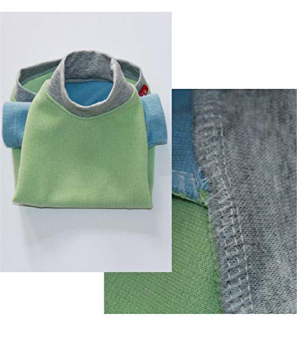 ZHIHAN Esfinge Personalidad Color a Juego Ropa sin Pelo Gato Camisa de algodón, Color 2, L
