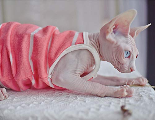 ZHIHAN Esfinge Ropa de Gato Camisola de Verano Vestido Delgado a Rayas, Color 1, XXL