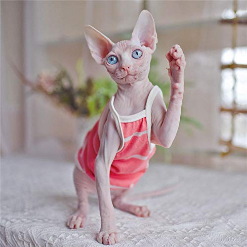 ZHIHAN Esfinge Ropa de Gato Camisola de Verano Vestido Delgado a Rayas, Color 1, XXL