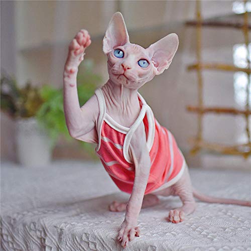 ZHIHAN Esfinge Ropa de Gato Camisola de Verano Vestido Delgado a Rayas, Color 1, XXL