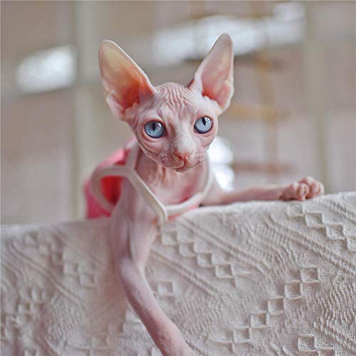 ZHIHAN Esfinge Ropa de Gato Camisola de Verano Vestido Delgado a Rayas, Color 1, XXL
