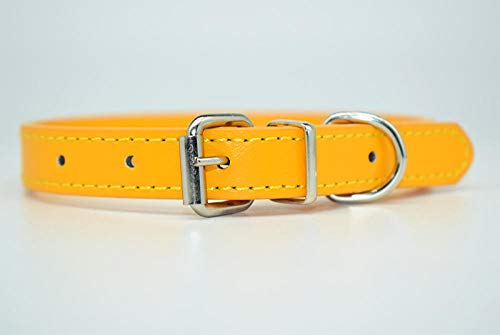 ZYYC Collar de Perro de Mascota Colorido Suave sólido de Cuero de PU para Perros pequeños medianos Grandes Correa de Cuello Ajustable Seguro Cachorro Gatito Collar de Gatos-Gold_XL