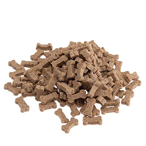 2 en 1 perro juguete – 2 Fitness y la mente juegos de inteligencia para perros en uno – Perfecto divertido juguete para usted y su con libre Chewies Cordero Bone Treats perro por excelencia de comercio electrónico