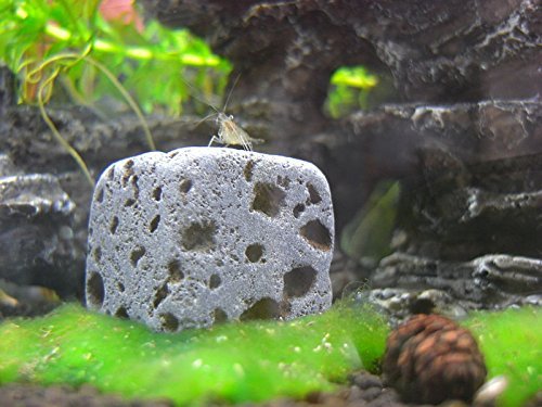6 Eco Bricks – Decoración purificador de roca volcánica para Acuario | rocas de decoración acuario