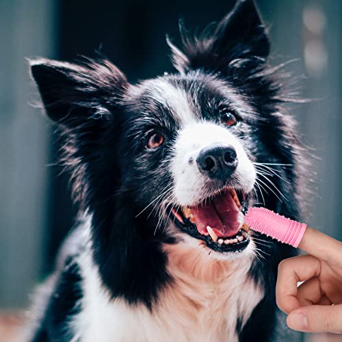 AIEX 8 Piezas Cepillo de Dientes para Perros, Cepillo de Dientes de Cerdas Suaves de Silicona de 360 Grados para Perros y Gatos Cepillos de Limpieza Dental para Mascotas (Rosa, Azul)