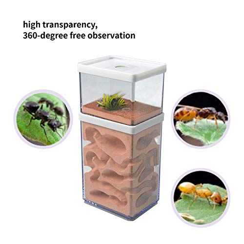 aleawol Nido de hormigas ecológico para granja de hormigas, plástico transparente, para hormigas, hormigas, castillo, formicario, insecto, caja de alimentación para hormigas, estudio, ciencia, regalo