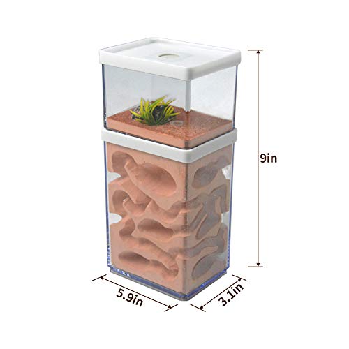 aleawol Nido de hormigas ecológico para granja de hormigas, plástico transparente, para hormigas, hormigas, castillo, formicario, insecto, caja de alimentación para hormigas, estudio, ciencia, regalo