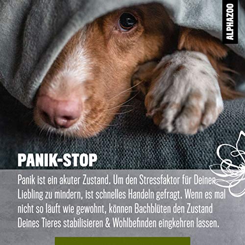 alphazoo Pánico-STOP Flores de Bach para perros y gatos 15ml, glóbulos contra el pánico y el miedo, tranquilizante natural Rescate para situaciones emergencia y estados de shock, mezcla de flores