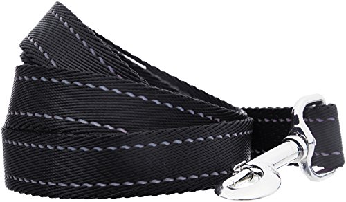 Amazon Basics - Correa para perro con asa acolchada - 1,52 m, Negro