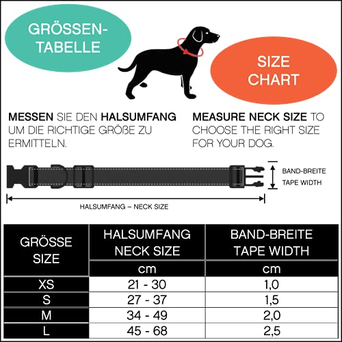 Amazon Brand - Umi - Collar de Perro, Ajustable, Nylon, para Perros pequeños y Grandes, Cachorros y Gatos, en Muchos Colores y Tallas Distintos, Negro, S