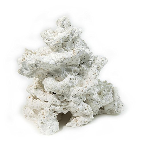 Aquanetta Arrecife de cerámica Fractal en Forma de Columna, Hecho a Mano, tamaño pequeño. Cerámica Fractal Extremadamente porosa, Blanco