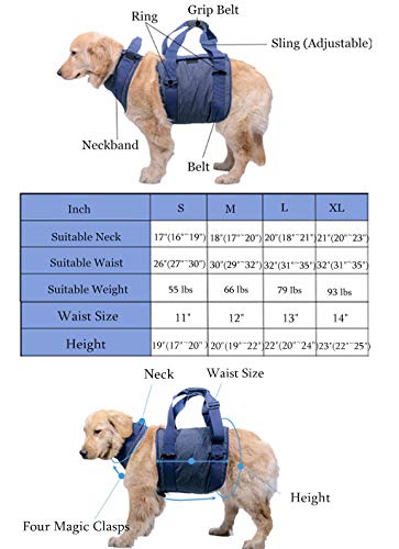 Arnés de Soporte para Levantamiento de Cuerpo Completo para Perros - Rehabilitación de Mascotas Asistencia para Caminar Eslingas La Correa Ayuda al Perro a Ponerse de pie con Lesiones Artritis, (S