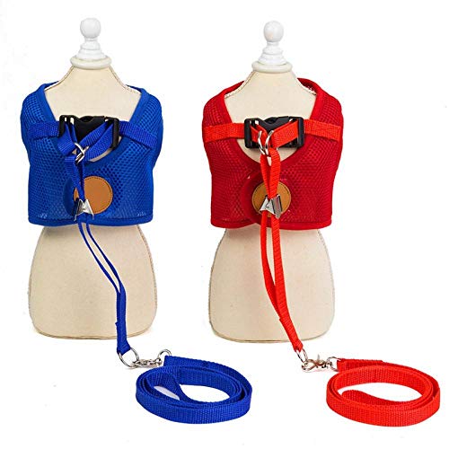 Arnés Para Perros Mascota Correa Para Perros Chaleco De Peluche Cachorros Correa Para El Pecho Arnés De Malla Transpirable Chaleco Cinturón Conjunto Para Cachorros-h_s Ajustable Arnes Perro