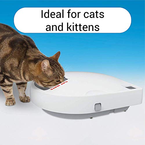 Beeztees K&Bz Cat Mate 365 Alimentador 420 g