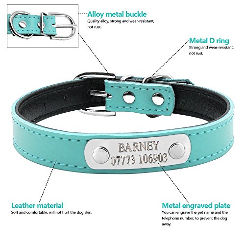 BERRY Etiquetas de identificación para Mascotas Acero Inoxidable, diseño de Huellas de Perro, Gato – Etiquetas de identificación para Mascotas Brillantes Personalizadas con Cascabel