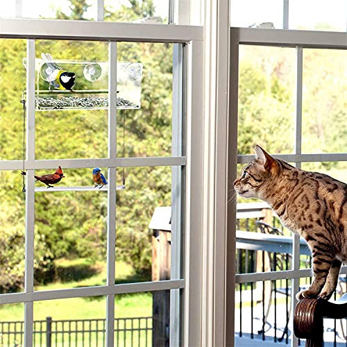 Binge Bird Feeder - Casita para pájaros para exteriores, con fuertes ventosas y cupelle para semillas, caseta para pájaros para exteriores, para aves silvestres, pinzones, cardenales y estrangulaos