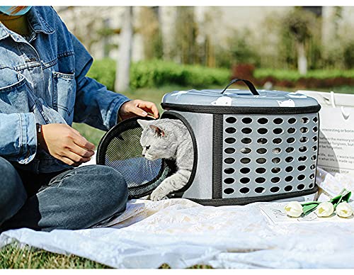 Bolsa de transporte para gatos, perros, bandolera, extraíble, lavable, plegable, para gatos, pequeños perros, conejos, animales de compañía, homologado avión (M, amarillo)