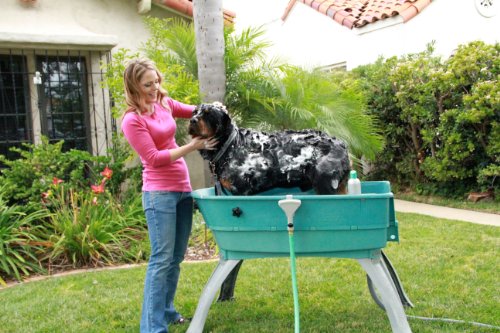 Booster baño Elevated Mascota baño Grande