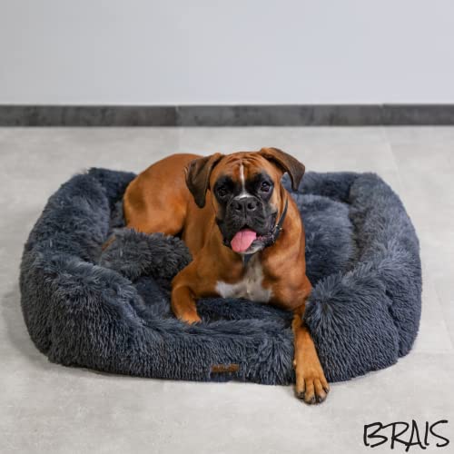 BRAIS Caseta de peluche para perros y gatos, con relleno de cojín 100 % algodón, cesta única, original, cojín extraíble, suave, cálida, resistente, tamaño pequeño, mediano y grande