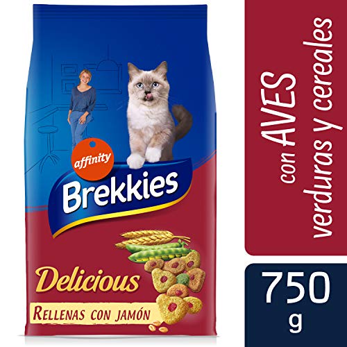 Brekkies Delicious Comida Para Gatos - 750 g