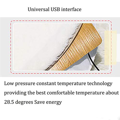 Calefacción del Animal Doméstico, El Bloc De Calor con Interfaz USB Termostático A Prueba De Fugas Manta Desmontable Felpa del Invierno Calefacción Eléctrica Estera del Gato del Perro De Conejo