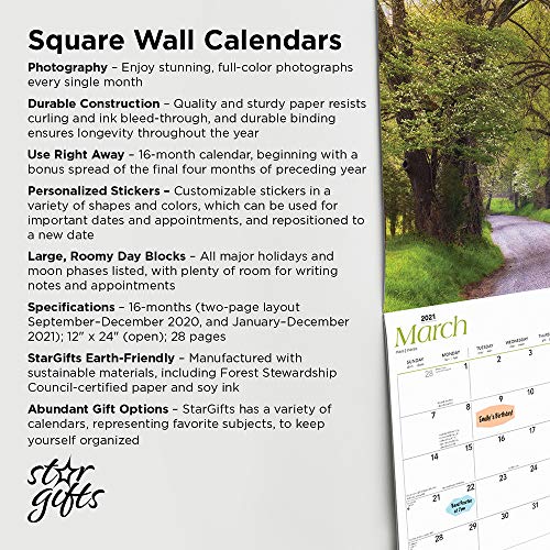 Calendario de pared cuadrado mensual de cachorros de Boston Terrier 2022 de 30,5 x 30,5 cm con cubierta estampada y pegatinas de StarGifts, animales razas de perros cachorros