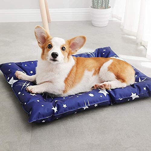 Cama Perro Fresca Manta Perro Verano colchoneta fría Manta Enfriador Alfombra para Mascotas Personas(M-56*66CM)