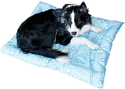 Cama Perro Fresca Manta Perro Verano colchoneta fría Manta Enfriador Alfombra para Mascotas Personas(M-56*66CM)