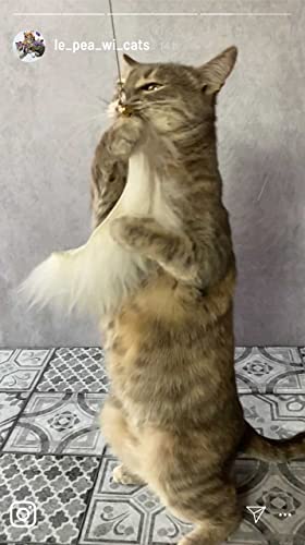 Caña de pescar para gatos con auténtica piel de oveja – extralarga y estable con mango de madera – Pesca interactiva / juguete de arroz, ayuda a desarrollar la inteligencia de tu gato.