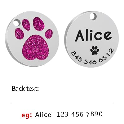 Chapa Perro Grabada Perro IDENTIFICACIÓN Etiqueta Personalizado PET ID Etiquetas Cuello Accesorios Placa De Cachorro Personalizado Para Pequeñas Perros Grandes Pitbull Chihuahua Placas Para Perros