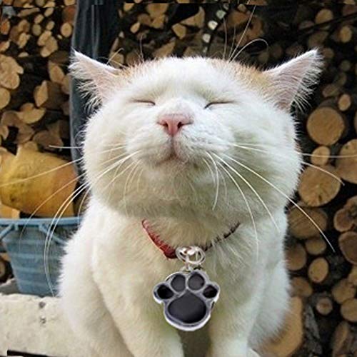 CJFael Etiquetas de identificación personalizadas, grabadas para perro, perro, perro, perro, gato, antipérdida, identificación, collar colgante y accesorios para mascotas, color verde
