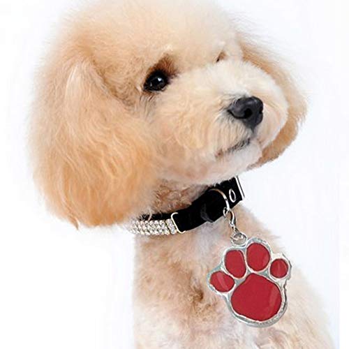 CJFael Etiquetas de identificación personalizadas, grabadas para perro, perro, perro, perro, gato, antipérdida, identificación, collar colgante y accesorios para mascotas, color verde