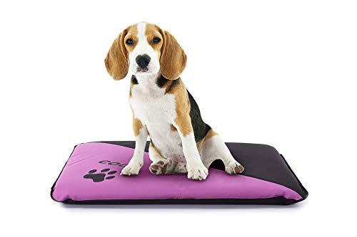 Colchoneta Personalizada para Perros - Impermeable y Resistente - Colchón para Perro Grande, Pequeño y Mediano - Exterior e Interior - Cama Antimordeduras (M - 90 x 60 x 6 CM, Malva)