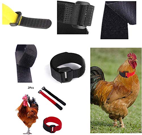 Collar de Pollo Rojo Negro Collar para Gallo Anti Gancho Collar de Gallo Ajustable Evita Que los Pollos griten Molestar a los vecinos Collar Pollo 2 Piezas