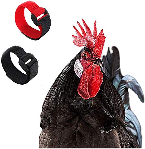 Collar de Pollo Rojo Negro Collar para Gallo Anti Gancho Collar de Gallo Ajustable Evita Que los Pollos griten Molestar a los vecinos Collar Pollo 2 Piezas