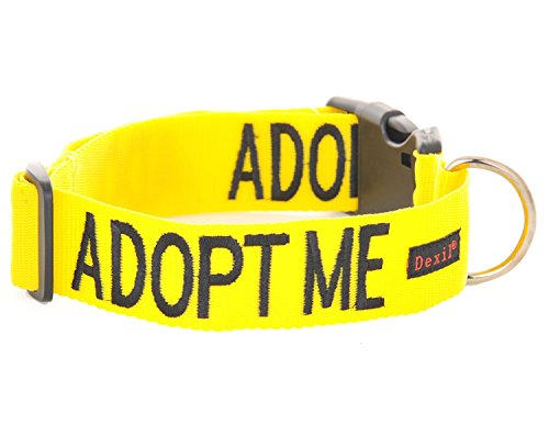 Collar para perro con texto "Adopt Me", color amarillo, en tallas S-M y L-XL, con codificación por colores para evitar accidentes por advertencia a otros de tu perro de antemano