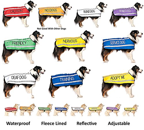 Collar para perro con texto "Adopt Me", color amarillo, en tallas S-M y L-XL, con codificación por colores para evitar accidentes por advertencia a otros de tu perro de antemano