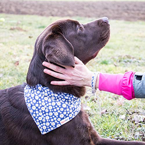 Collar para perros con bandana y brazalete de amistad marca Pettsie