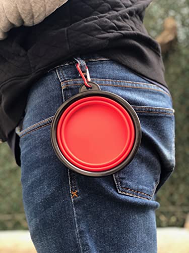 Comedero Plegable para Perros, Bowl para Alimentar Mascotas, Cuenco Plegable para Perros y Gatos, tazón Fuente alimentación para Perros, Bebedero portátil (Verde Claro)