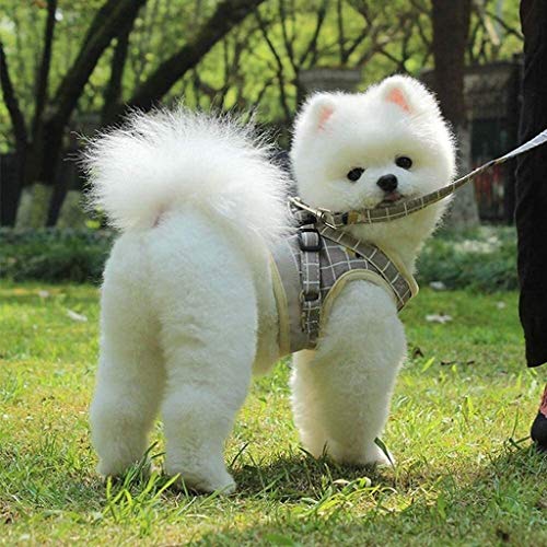 Correa del perro mascota mascotas transpirable chaleco de tipo correa de reflexión de la luz de malla Correa de perro Correa for pequeñas y medianas perros Caminar Correr Correa de entrenamiento