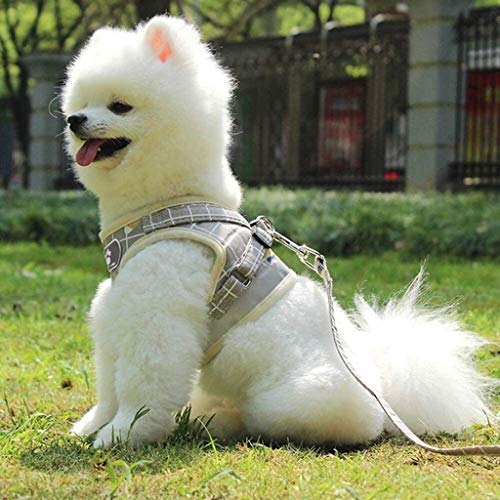 Correa del perro mascota mascotas transpirable chaleco de tipo correa de reflexión de la luz de malla Correa de perro Correa for pequeñas y medianas perros Caminar Correr Correa de entrenamiento