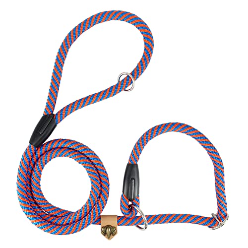 Correa para Perros con Collar 2 Colores, Fabrica en E.U, Nylon Corta Redonda de 12 mm Antitirones, Correa de Adiestramiento para Perros Pequeños Medianos y Grandes. 160 cm. Azul&Naranja.
