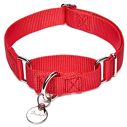 Dazzber Martingal Fuerte Collares para Perro Grande/Mediano/Pequeño, Ajustable - Resistente - No Escapatoria - Color Sólido - Nylon Collar de Perro de Seguridad