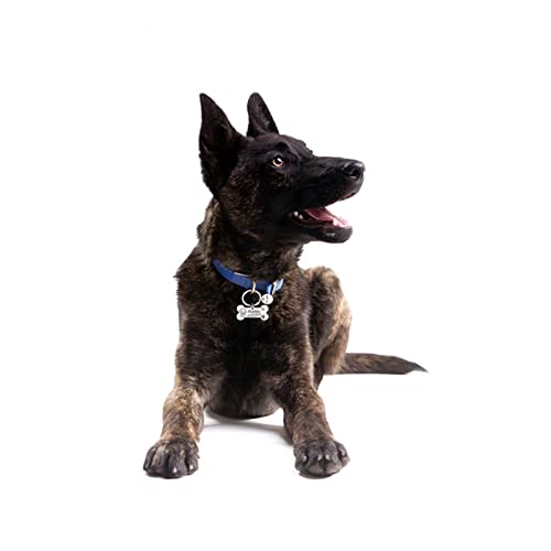 DHDHWL Placas Identificación Perros 1pcs Personalized Dog Cat IDENTIFICACIÓN Tag Anti-perdido Nombre de Mascotas Etiquetas Placas Grabado Gratis Perros Gatos IDENTIFICACIÓN Placa de identificación de